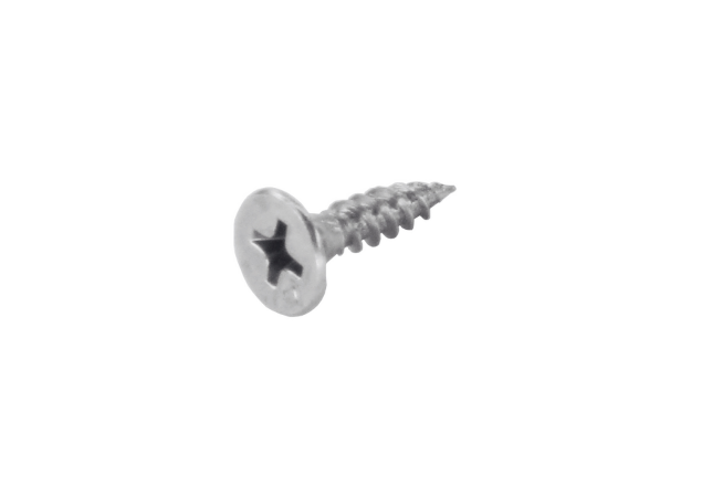 HDD schroef voor paumelle 4x20mm rvs geborsteld