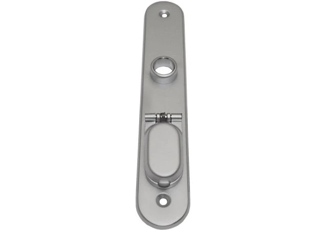 Deurschild profiel cilinder 230mm met Rvs cilinder afdekkap per stuk Messing gepolijst