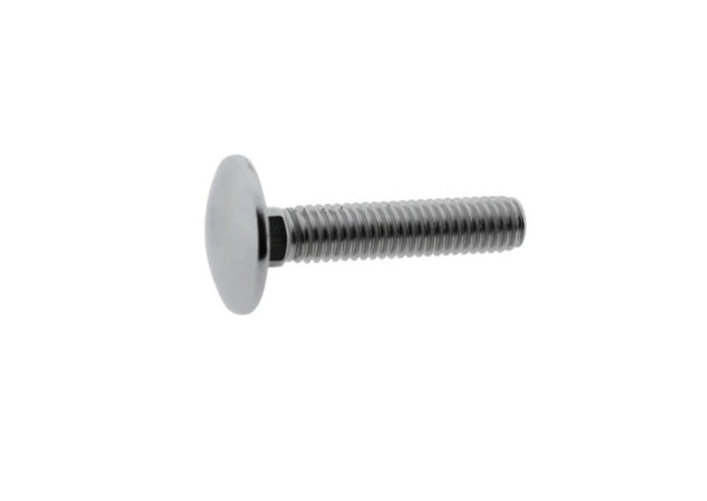 Slotbout - M6x30mm - Rvs 316 - DIN 603 - Volledig draad - Per stuk